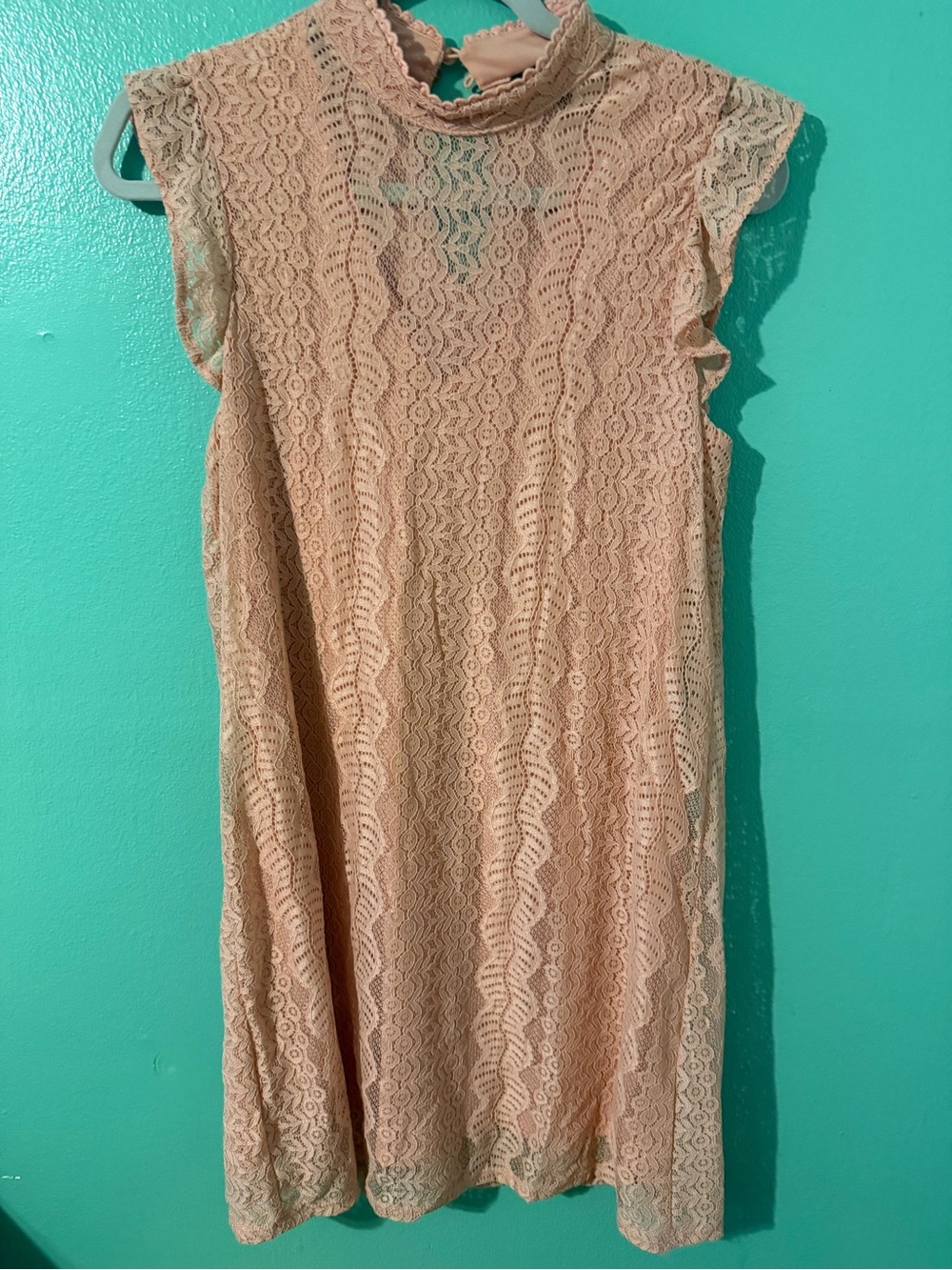 As U Wish Blush Lace Mini Dress with Mock Neck